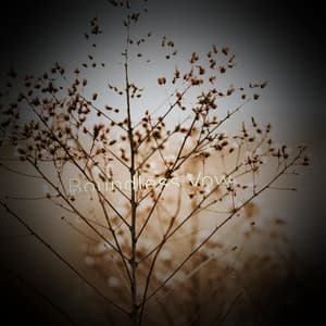 Boundless Vow - Minds United