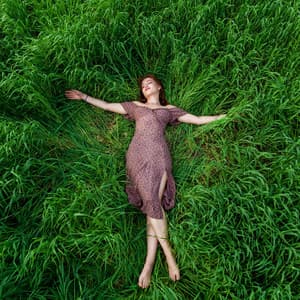 Serene Lofi Bliss: Ethereal Relaxation Melodies of Contentment - Lofi Radiance