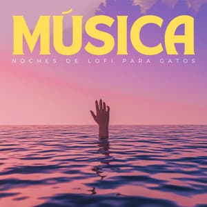 Música: Noches De Lofi Para Gatos - Lofiwaala