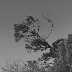 Bgm for Taking Notes - Música Tranquila para Cafe