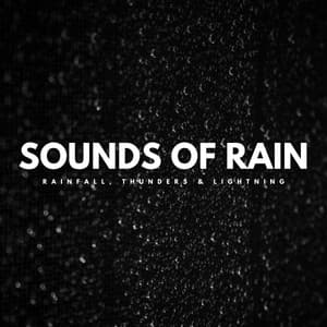 Sounds Of Rain: Rainfall, Thunders & Lightning - Ricky Rainsound