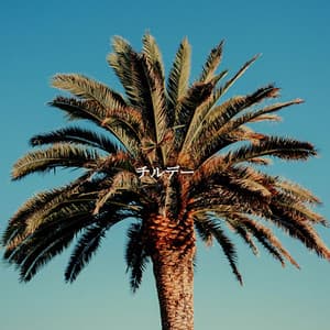 チルデー - Jazz Relax Radio