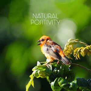 Natural Positivity: Lowering Stress Birds & Nature Sounds - Relaxing Nature Sounds Collection