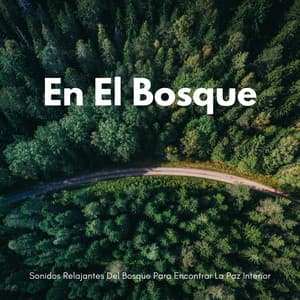 En El Bosque: Sonidos Relajantes Del Bosque Para Encontrar La Paz Interior - Sonidos Del Bosques