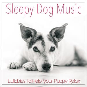 Sleepy Dog Music: Lullabies to Help Your Puppy Relax - Relaxmydog
