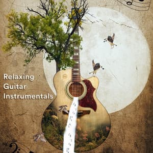 Relaxing Guitar Instrumentals - Guitar Instrumentals