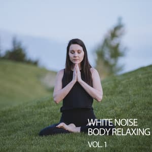White Noise Body Relaxing Vol. 1 - 528Hz Whole Body Regeneration