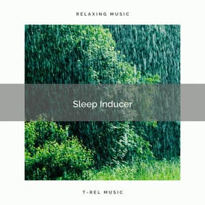 1 Sleep Inducer - The Noise Project