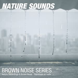Nature Recordings & Brown Noise - Raindrops on roofs - Nature Noises