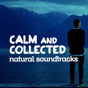 Calm and Collected: Natural Soundscapes - Forest Sounds Relaxing Spa Music Singing Birds