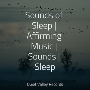 Sounds of Sleep | Affirming Music | Sounds | Sleep - Lush Rain Creators
