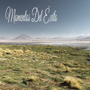 Momentos Del Éxito - Classical New Age Piano Music