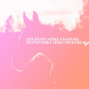 Din bästa sömn någonsin: Hypnotiskt sömn spektrum, Buller för djup och hälsosam sömn - Avslappning ljud klubb