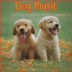 Dog Music: Soothing Sounds for Restless Puppies - Relaxmydog