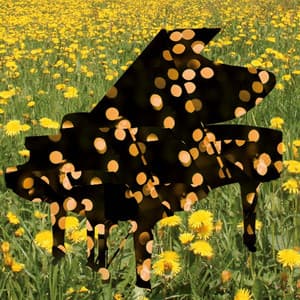 Pianospheres, Vol. 2 - Jeff Newmann