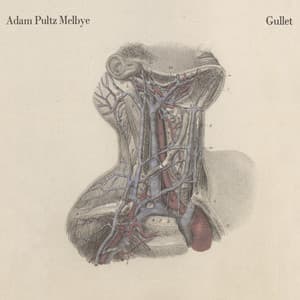 Gullet - Adam Pultz Melbye