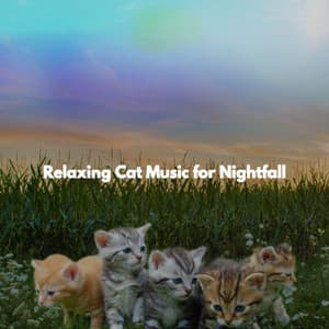 Relaxing Cat Music for Nightfall - Jazz Classics