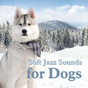 Soft Jazz Sounds for Dogs - Music For Dogs Peace