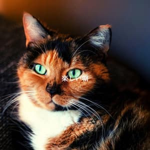 楽しい朝 - Coffee jazz Relax