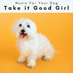 1 Take it Good Girl - Music For Your Dog