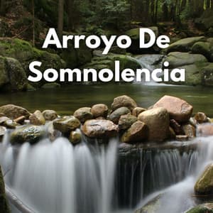 Arroyo De Somnolencia - Canal Naturaleza sin parar