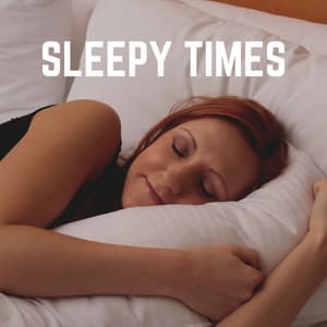Sleepy Times - The Sleep Principle