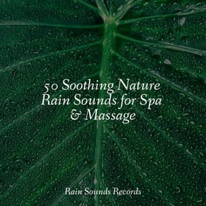 50 Soothing Nature Rain Sounds for Spa & Massage - Forest Sounds