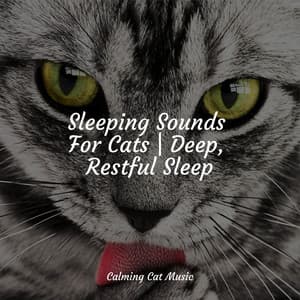 Sleeping Sounds For Cats | Deep, Restful Sleep - Cat Music Therapy