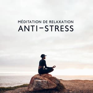 Méditation de relaxation anti-stress: Le pouvoir des sons doux et de la nature - Espace détente