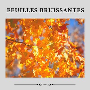 Feuilles Bruissantes - Nature Sounds - Sons de la nature