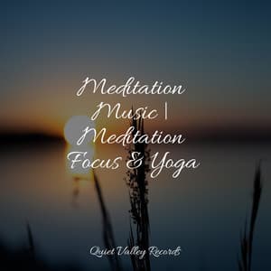 Meditation Music | Meditation Focus & Yoga - Study Zone