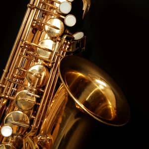 Relaxing Orchestra Music for Calm Dogs - Charles Anderson