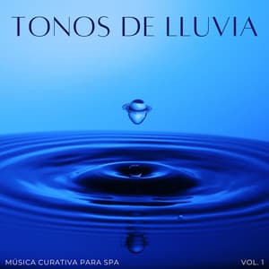Tonos De Lluvia: Música Curativa Para Spa Vol. 1 - Sonidos De Lluvia