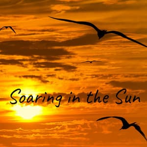 Soaring in the Sun - Rain Sound Plus