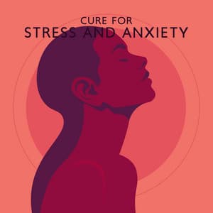 Cure for Stress and Anxiety: Peaceful Songs to Heal Your Anxiety, Focus on the Present Moment and Breathing, Soothing Music to Awaken Your Divine Energy - Inspiring Meditation Sounds Academy