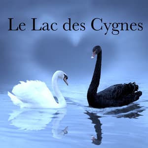 Le Lac des Cygnes: Belle Musique pour Danse Classique et Contemporaine - La Danseuse