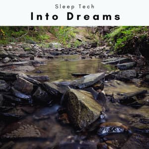 1 Into Dreams - Sleep Tech