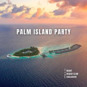 Palm Island Party: Exclusive Night at the Beach Club - DJ X Rais