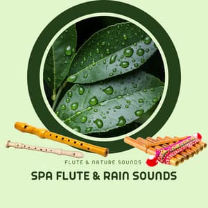 Spa Flute & Rain Sounds - Flute & Nature Sounds