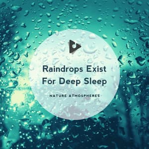Raindrops Exist For Deep Sleep - Nature Sounds ASMR