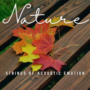 Strings of Acoustic Emotion: Soulful Reverie - Momento