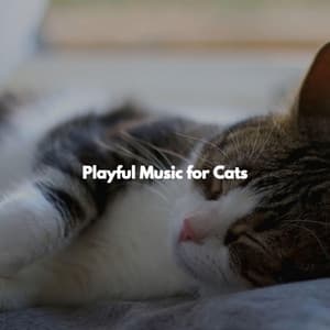 Playful Music for Cats - Relaxing Jazz Restaurant Music