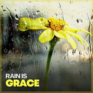 Rain Is Grace - Relaxing Rain