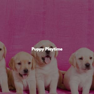 Puppy Playtime - Cool Cats 1940s Jazz