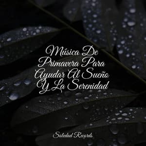 Música De Primavera Para Ayudar Al Sueño Y La Serenidad - Canciones Para Niños