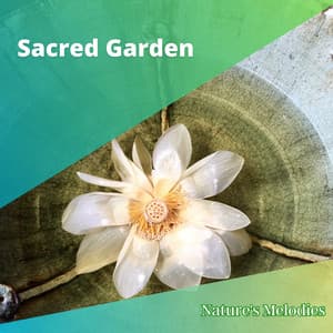 Sacred Garden - Nature's Melodies