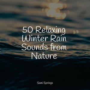 50 Relaxing Winter Rain Sounds from Nature - Water Sound Natural White Noise