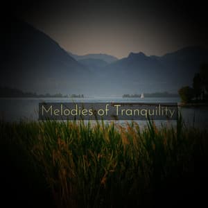 Melodies of Tranquility - Minds United