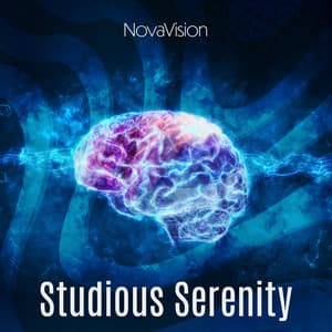 Studious Serenity: Relaxing Tunes for Focus and Calm - NovaVision