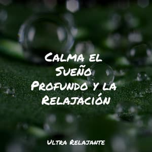 Calma el Sueño Profundo y la Relajación - Meditación Guiada